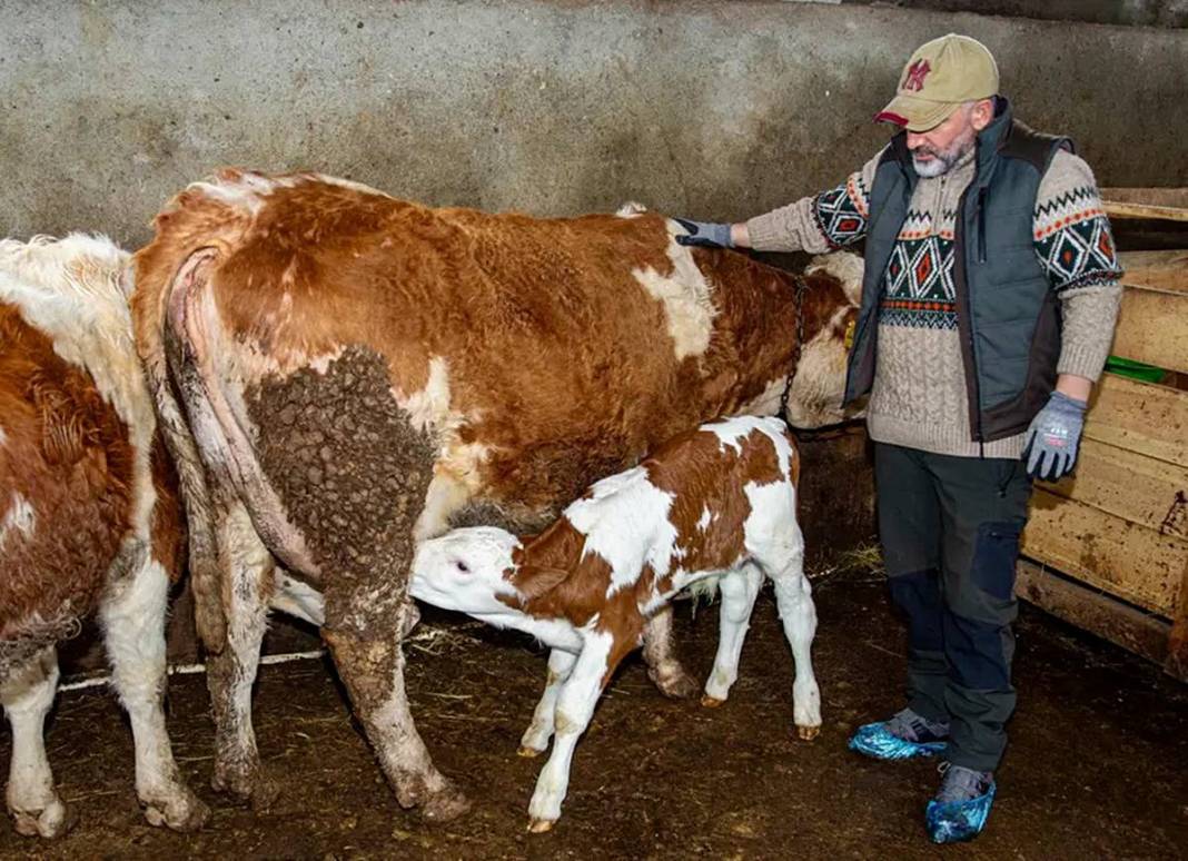 İstanbul'daki işini bıraktı, tek kuruş devlet desteği almadan Erzurum'da dev tesis kurdu 5